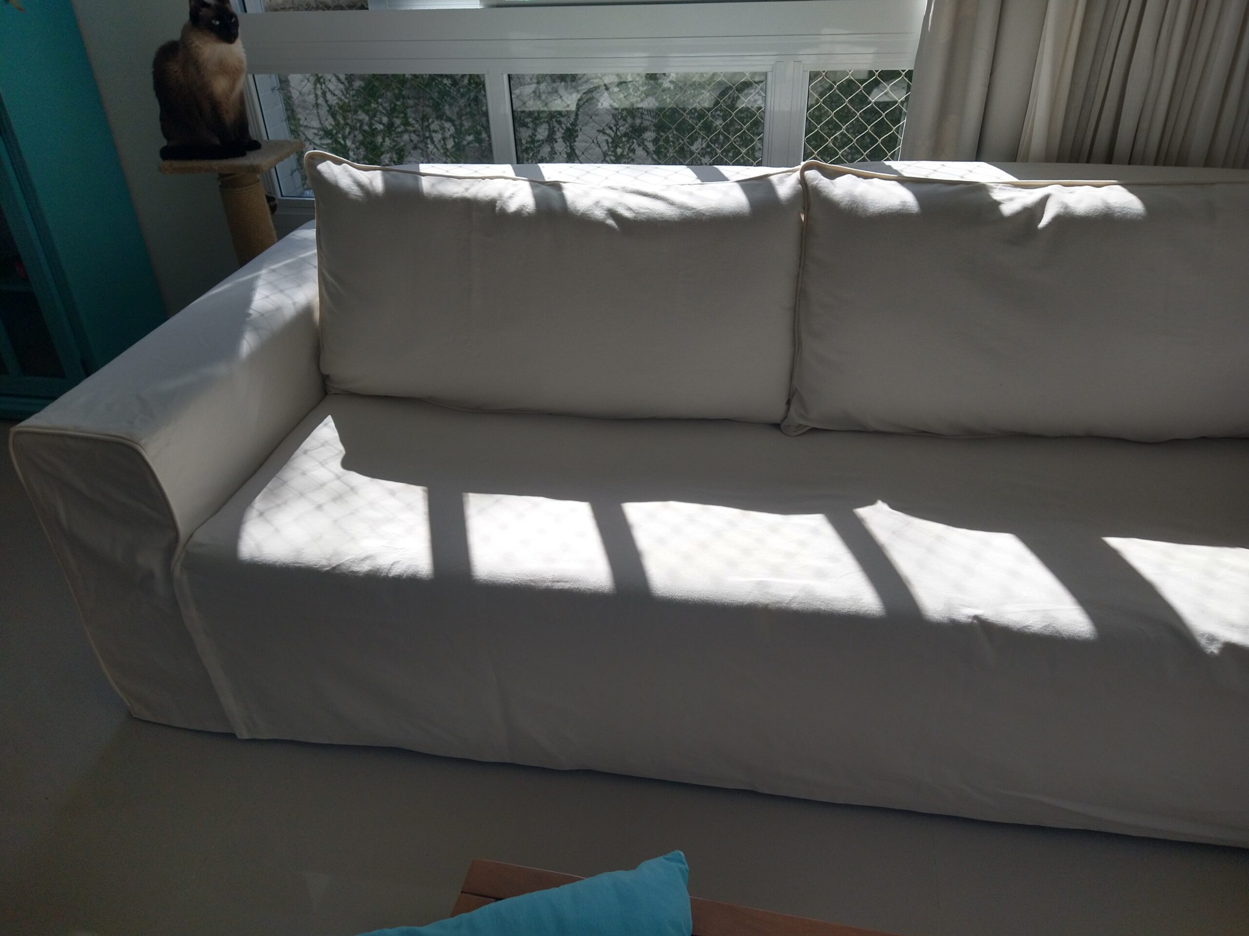 IMG_20210805_121404356_HDR